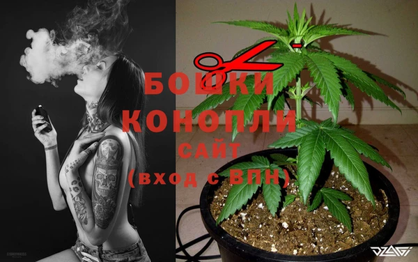 мяу мяу мука Михайловск